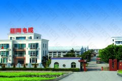 福建省福州某電線電纜有限公司合作線材扭轉試驗機